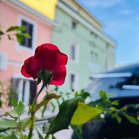 Arena Prestige * 普拉