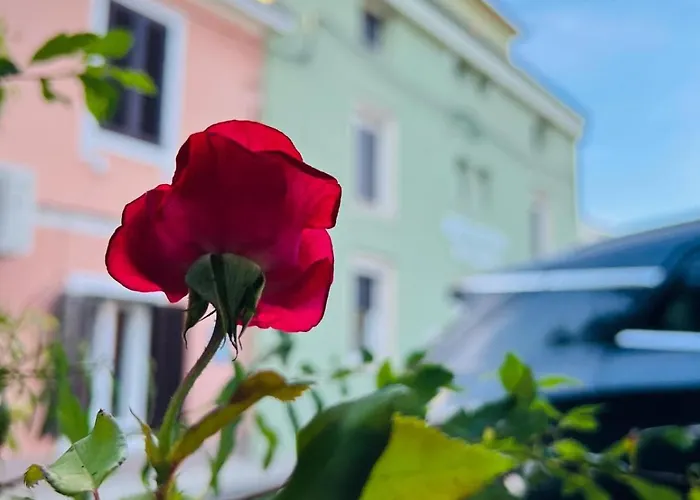 Arena Prestige * Pula